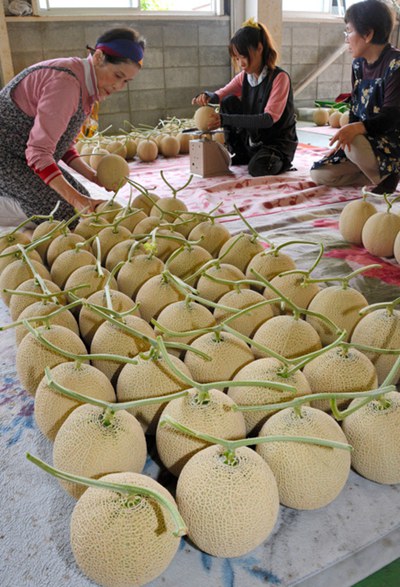 重庆日语.jpg
