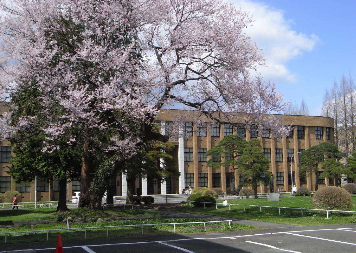 日本留学